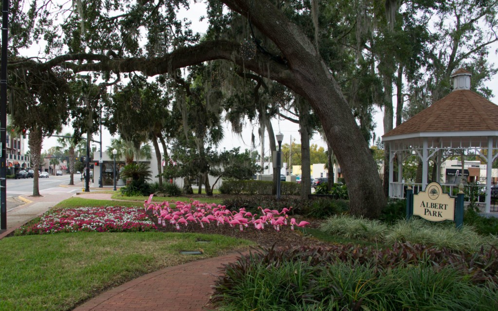 College Park Florida - Albert Park